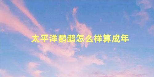 太平洋鹦鹉怎么样算成年