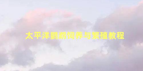 太平洋鹦鹉饲养与繁殖教程