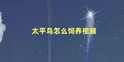 太平鸟怎么饲养视频