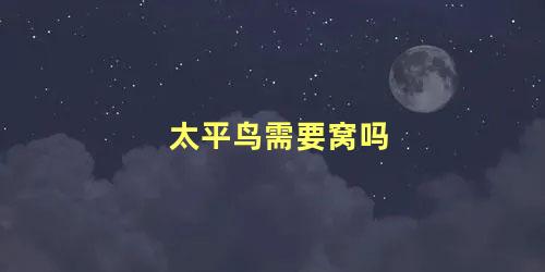 太平鸟需要窝吗