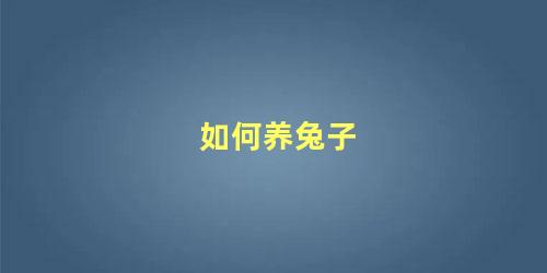 如何养兔子