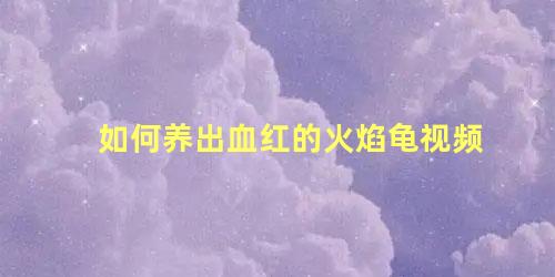 如何养出血红的火焰龟视频