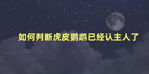 如何判断虎皮鹦鹉已经认主人了