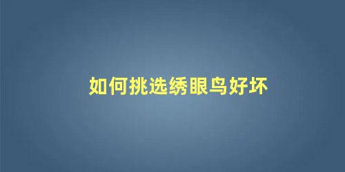 如何挑选绣眼鸟好坏