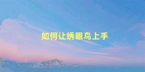 如何让绣眼鸟上手