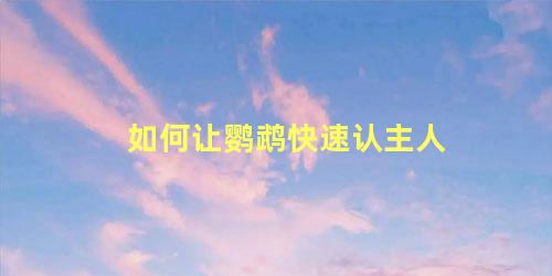 如何让鹦鹉快速认主人