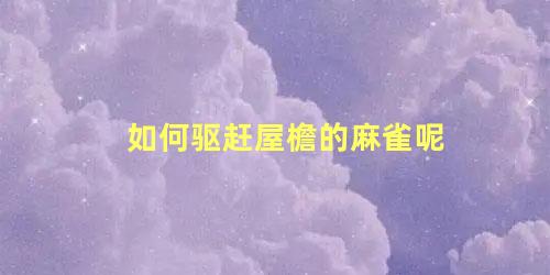 如何驱赶屋檐的麻雀呢