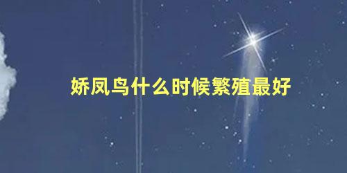 娇凤鸟什么时候繁殖最好