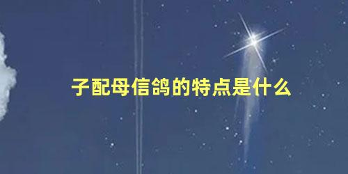 子配母信鸽的特点是什么