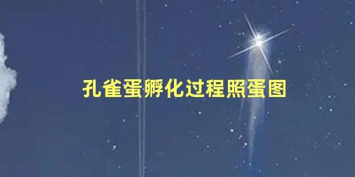 孔雀蛋孵化过程照蛋图