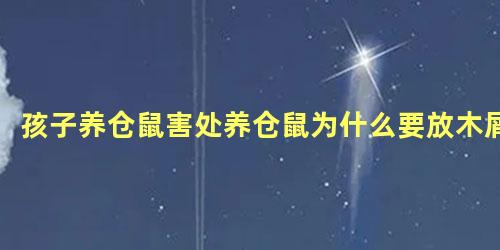 孩子养仓鼠害处养仓鼠为什么要放木屑