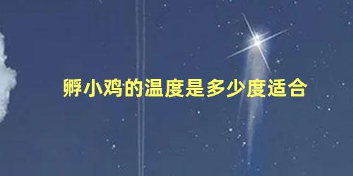 孵小鸡的温度是多少度适合