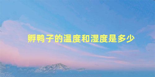 孵鸭子的温度和湿度是多少