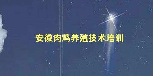 安徽肉鸡养殖技术培训