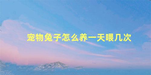 宠物兔子怎么养一天喂几次