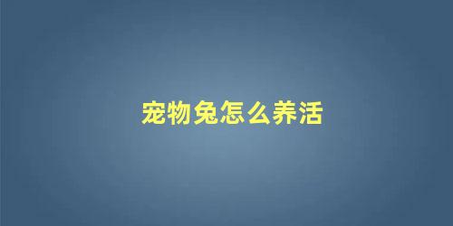 宠物兔怎么养活