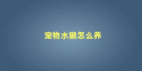 宠物水獭怎么养