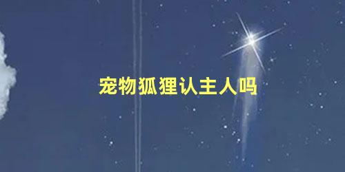 宠物狐狸认主人吗