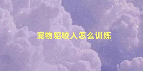宠物貂咬人怎么训练
