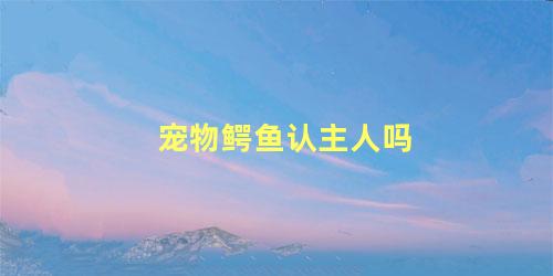 宠物鳄鱼认主人吗