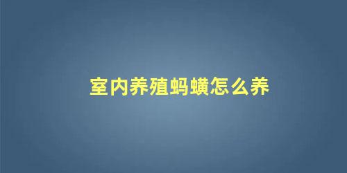 室内养殖蚂蟥怎么养