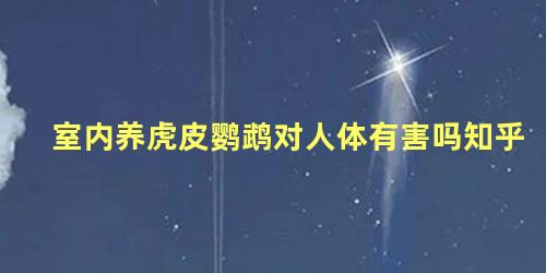 室内养虎皮鹦鹉对人体有害吗知乎