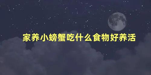 家养小螃蟹吃什么食物好养活