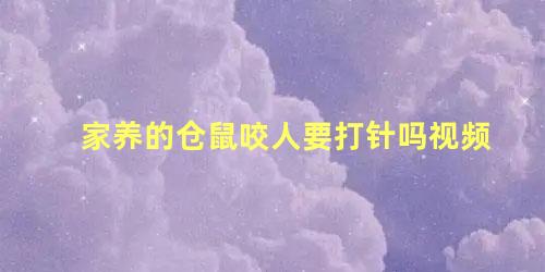 家养的仓鼠咬人要打针吗视频