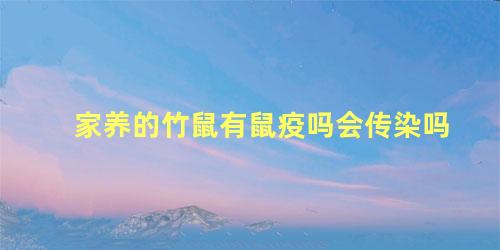 家养的竹鼠有鼠疫吗会传染吗