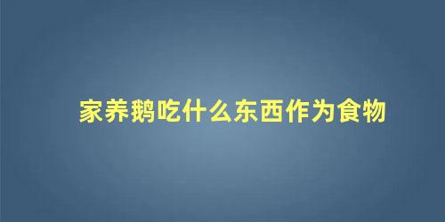 家养鹅吃什么东西作为食物