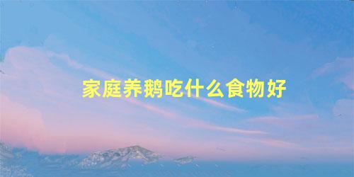 家庭养鹅吃什么食物好
