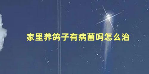 家里养鸽子有病菌吗怎么治