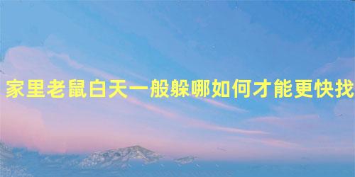 家里老鼠白天一般躲哪如何才能更快找到老鼠