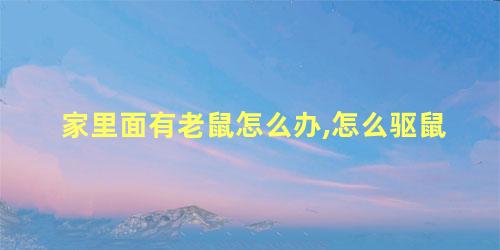 家里面有老鼠怎么办,怎么驱鼠
