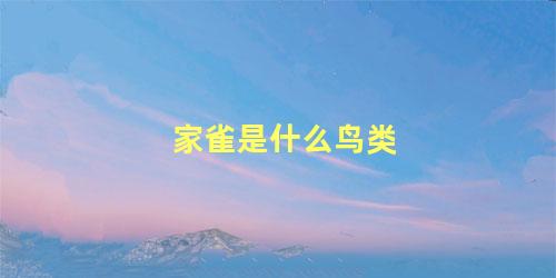 家雀是什么鸟类