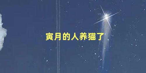 寅月的人养猫了
