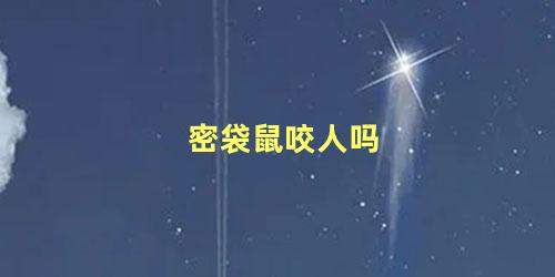 密袋鼠咬人吗