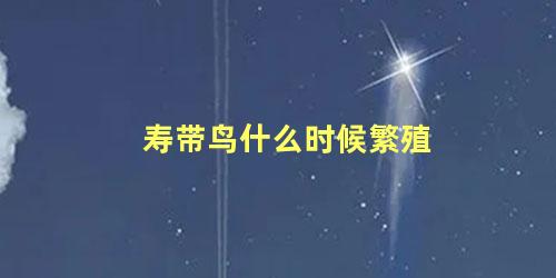 寿带鸟什么时候繁殖