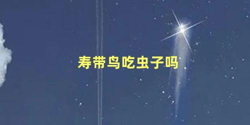 寿带鸟吃虫子吗