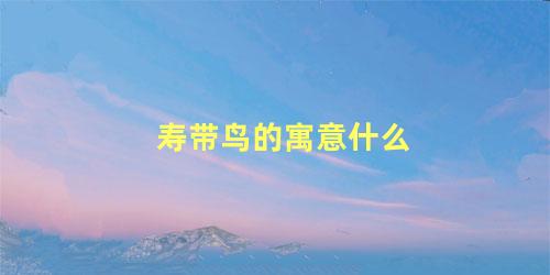 寿带鸟的寓意什么