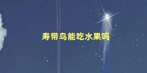 寿带鸟能吃水果吗