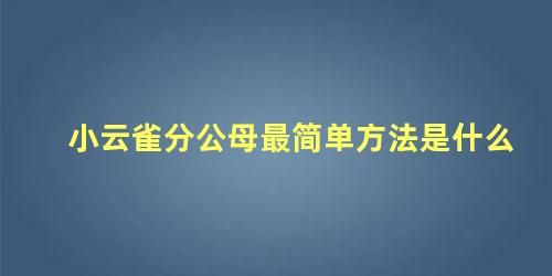 小云雀分公母最简单方法是什么