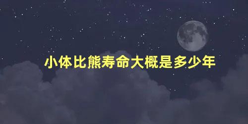 小体比熊寿命大概是多少年