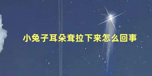 小兔子耳朵耷拉下来怎么回事