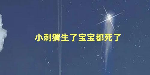小刺猬生了宝宝都死了