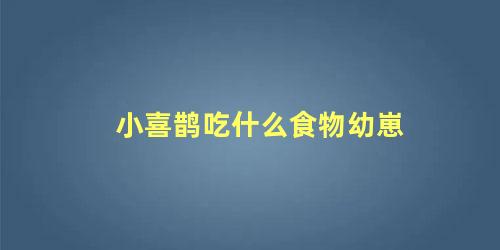 小喜鹊吃什么食物幼崽