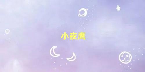 小夜鹰