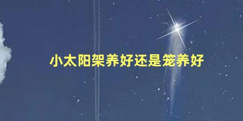 小太阳架养好还是笼养好