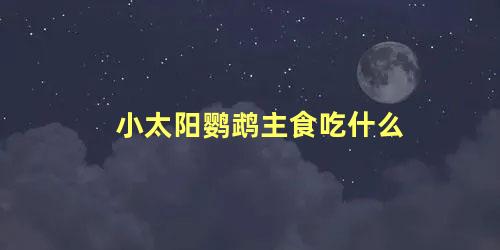 小太阳鹦鹉主食吃什么
