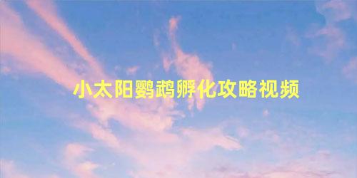 小太阳鹦鹉孵化攻略视频